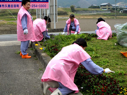 除草で歓迎_b0145257_1724268.jpg