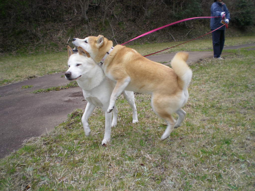2010年4月1日(木)今日から春!_f0060461_1105449.jpg