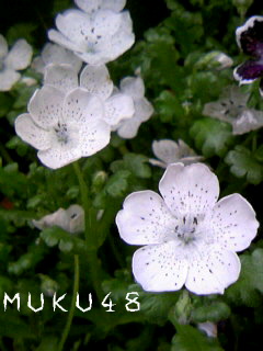 a0096462_0215239.jpg