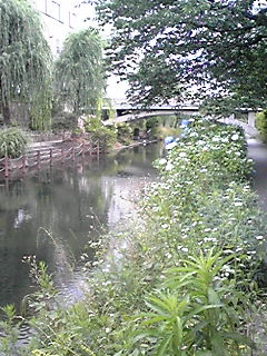 f0229664_10113599.jpg