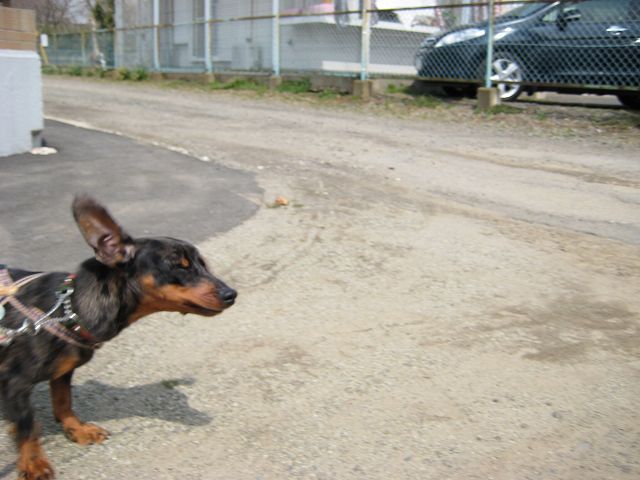 a0091865_211658.jpg