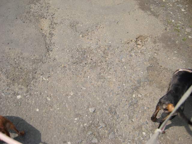 a0091865_21232335.jpg