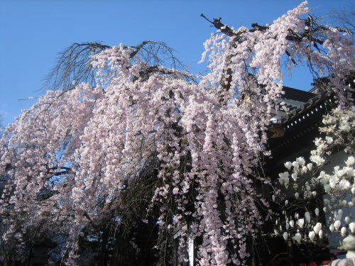 f0206966_528163.jpg