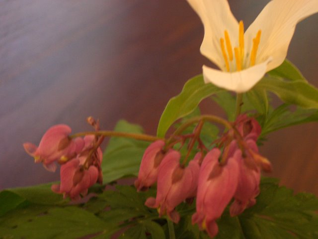 b0183670_10438.jpg