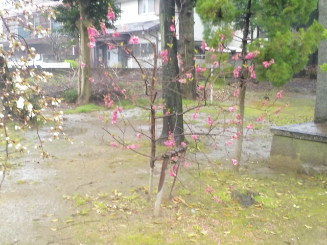 c0212783_23121036.jpg