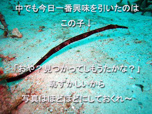 感動のフィナーレとなるか!?_f0144385_2239081.jpg