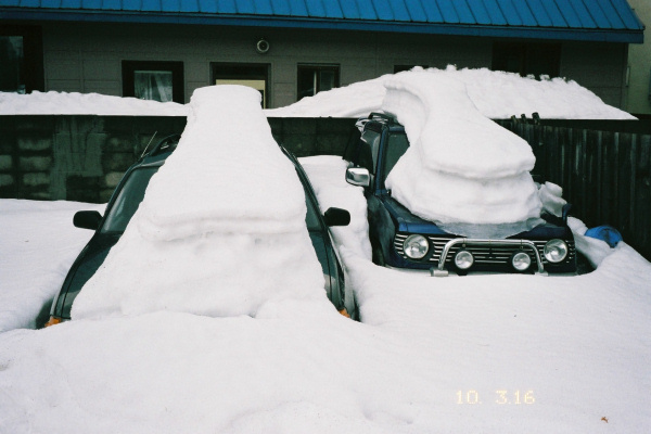2010年3月の一日一枚_e0051186_20363473.jpg