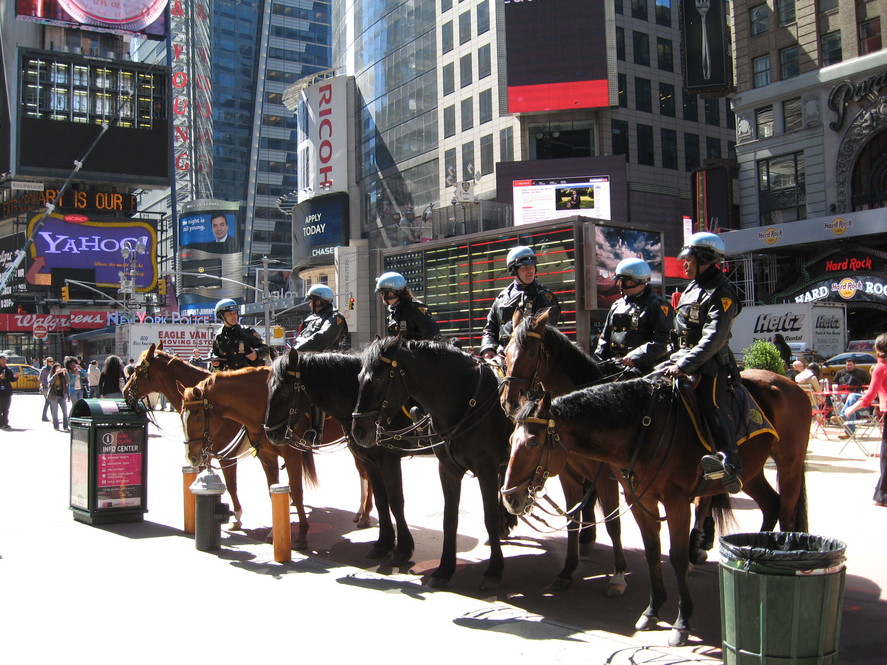 騎馬警官 Mounted Unit ニューヨーク 現地情報