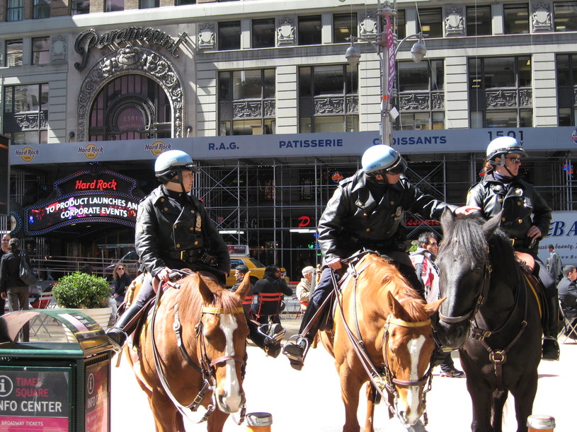 騎馬警官 Mounted Unit ニューヨーク 現地情報 騎馬警官 Mounted Unit ニューヨーク 現地情報