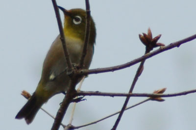 c0047589_17501638.jpg