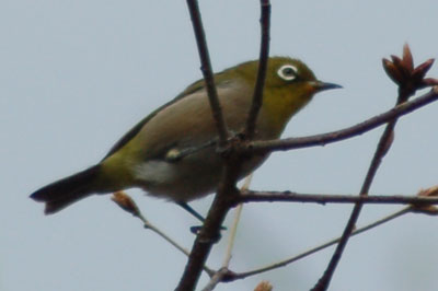 c0047589_17502858.jpg