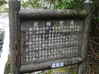 c0171889_15503555.jpg
