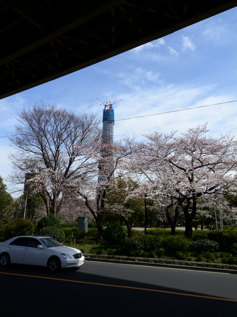 パチリ。_a0165892_22472422.jpg