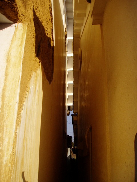 e0196993_1273073.jpg