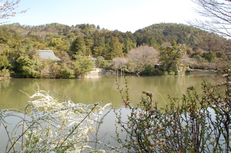 三千院~平安神宮~龍安寺_d0153294_2033041.jpg