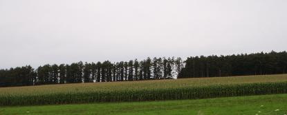 e0077899_71571.jpg