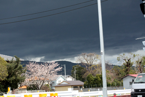 c0011204_224246.jpg