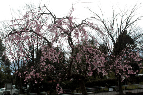 c0011204_2291390.jpg