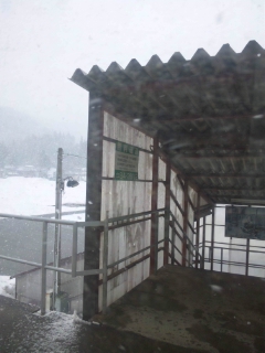 d0005807_710554.jpg