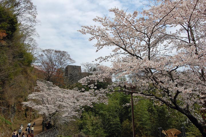 c0011009_03372.jpg