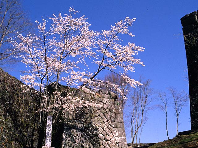 c0011009_03469.jpg