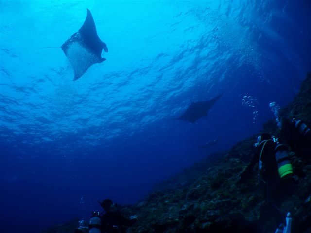 c0188610_20203356.jpg