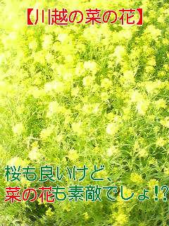 二つのライヴ\(~o~)/_f0138311_1124972.jpg
