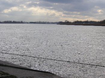e0115312_110921.jpg