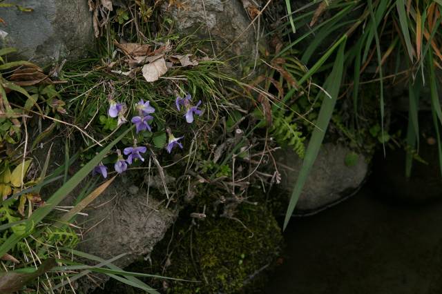 e0117318_12174019.jpg