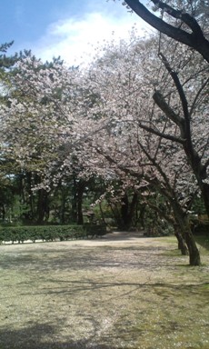 「縮景園」　　今日のお昼_e0045719_20254644.jpg