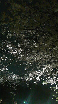 c0011327_0484495.jpg