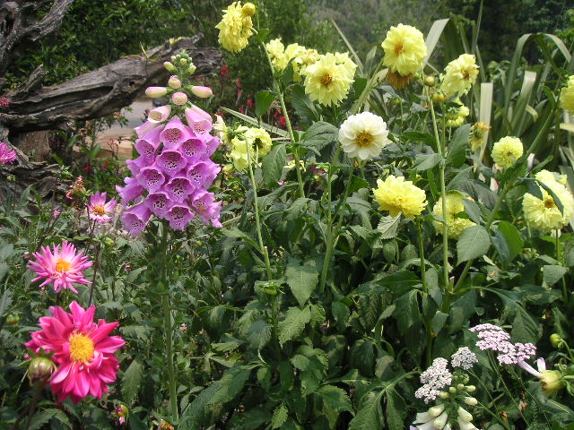 c0127933_20482268.jpg