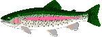 f0231441_23155076.gif