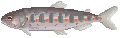 f0231441_23173352.gif