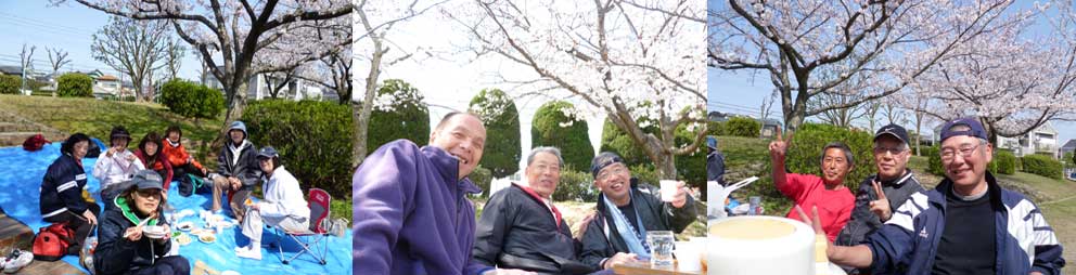 油山恒例　花見の宴　2010_c0067645_1691121.jpg