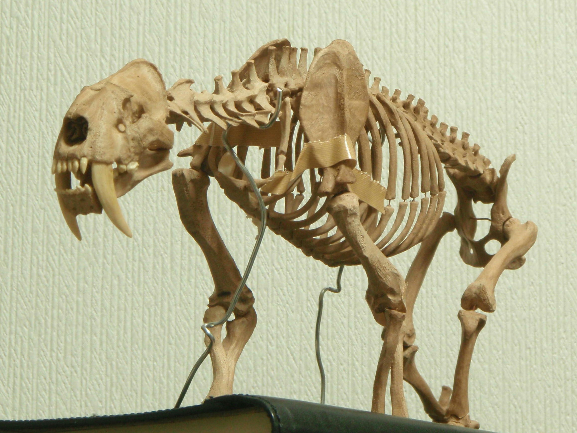 e0064457_20311133.jpg