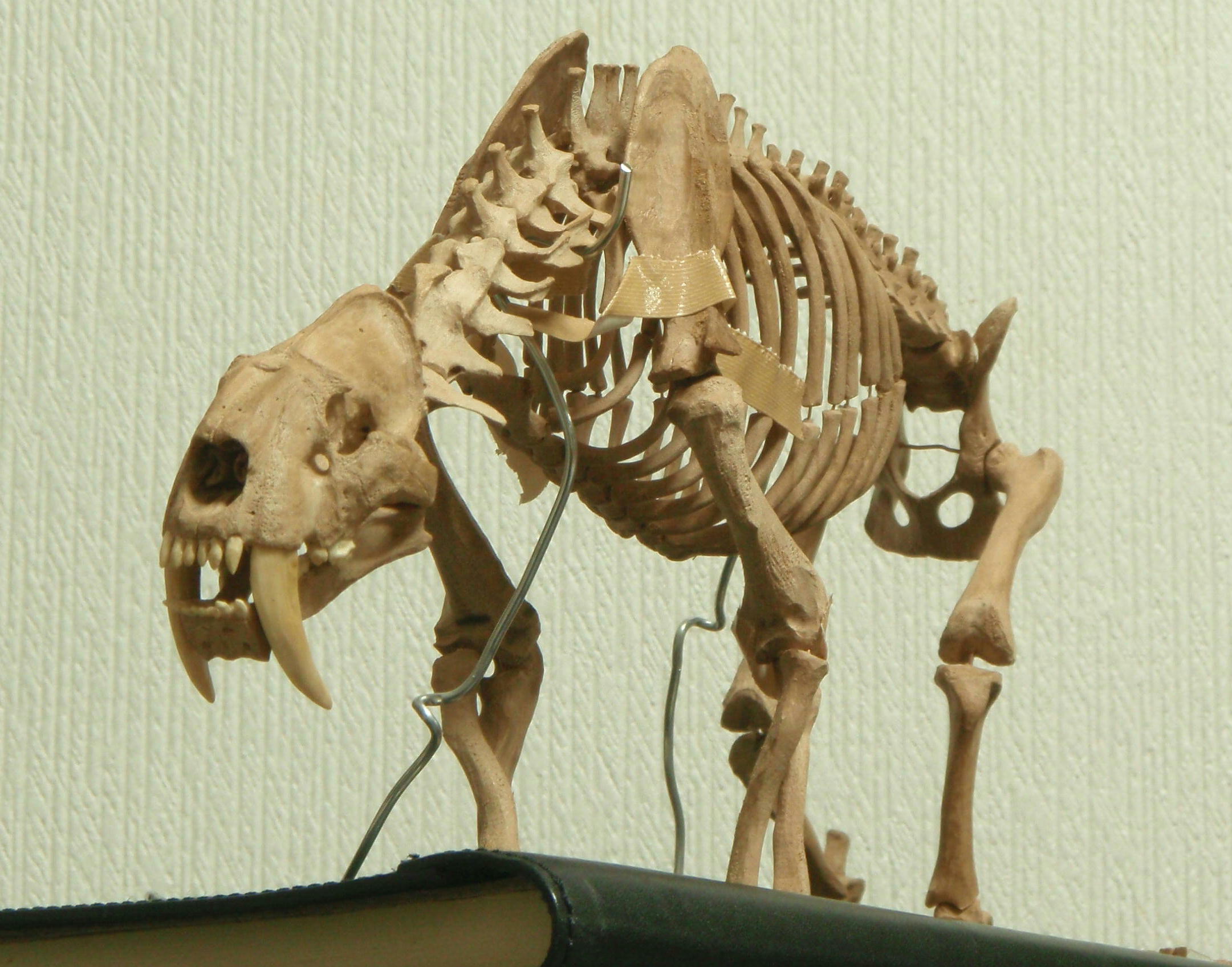 e0064457_20312066.jpg