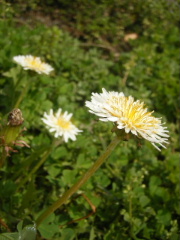 f0043559_1445887.jpg