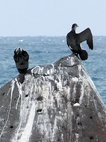 b0165760_1912841.jpg