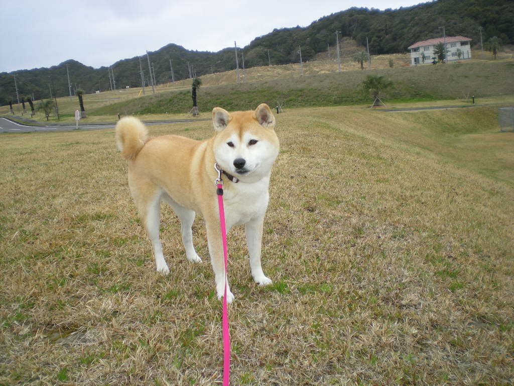 ２０１０年４月２日（金）春の嵐！_f0060461_10165156.jpg