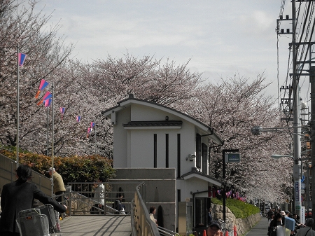 b0145863_1347261.jpg