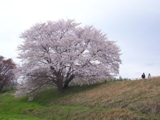a0168068_2318351.jpg