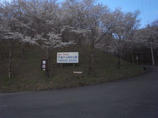 a0168068_23281211.jpg
