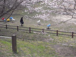a0168068_23295729.jpg