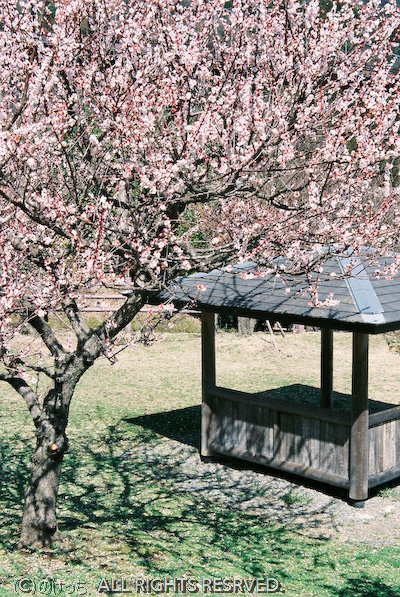 春先の戸川公園～NATURA1600編～。_b0136768_23224222.jpg