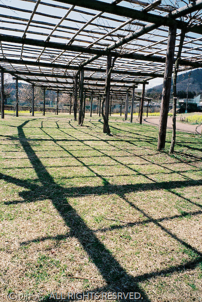 春先の戸川公園～NATURA1600編～。_b0136768_2323299.jpg