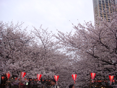 a0083571_23331114.jpg