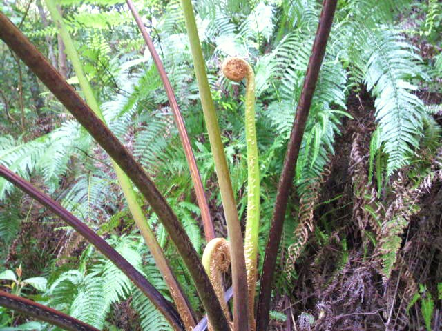 f0074571_18374262.jpg