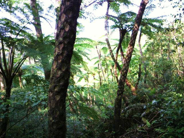 f0074571_18395650.jpg