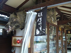 御所周り散策：護王神社，御所（お花見），新島襄宅_f0163873_2245640.jpg